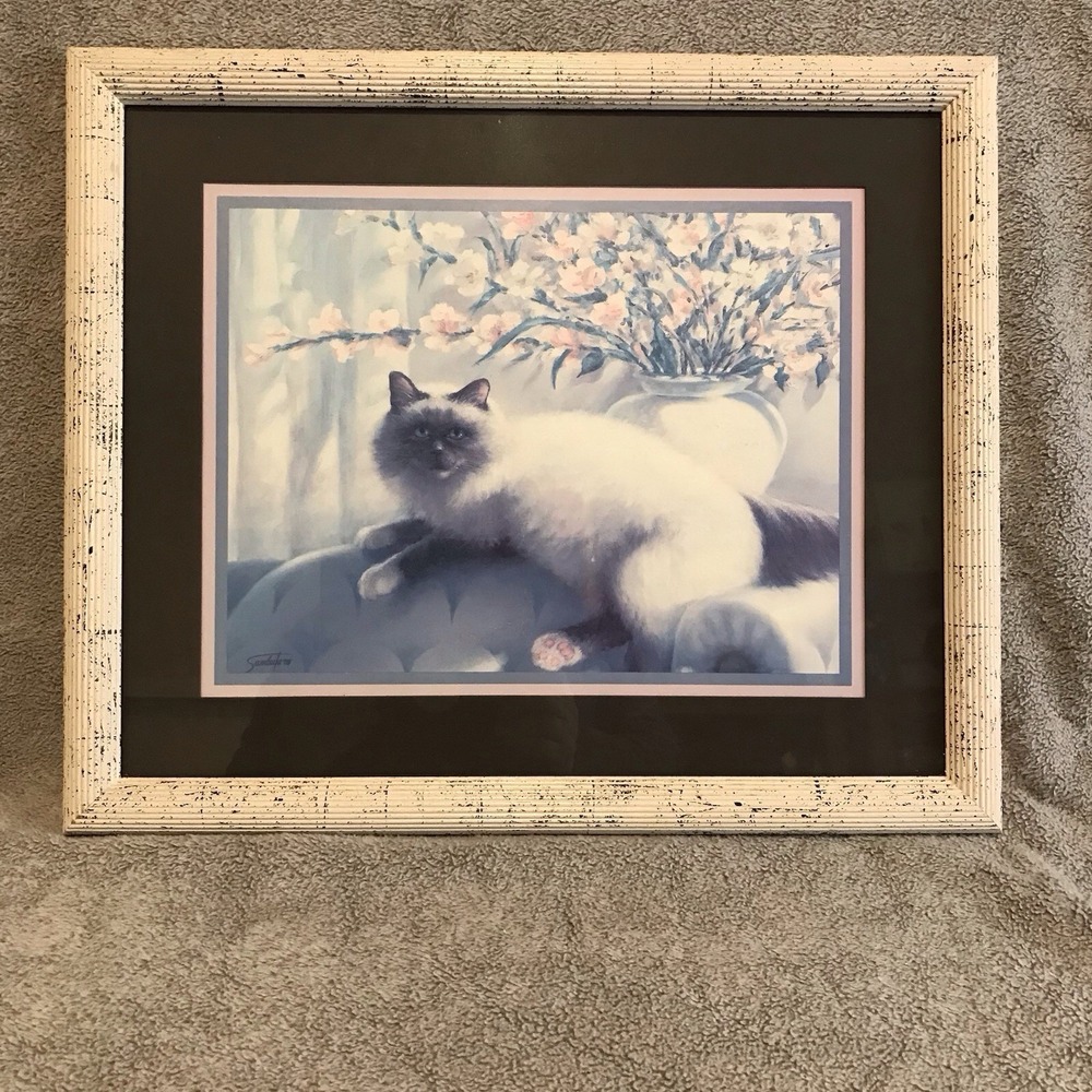 Vintage Framed Black White Fluffy Cat Pet Portrait Picture Wall Art
